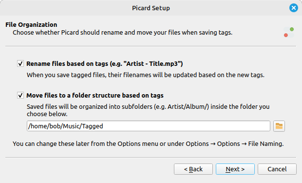 ../_images/first_run_wizard_file_org.png