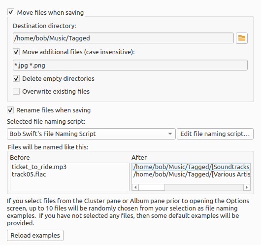 ../_images/options-filenaming.png