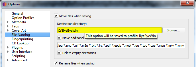 ../_images/options-profile-save3.png