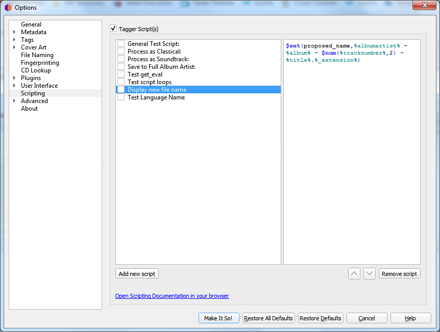 ../_images/options-scripting.png